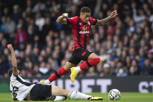 Bournemouth vs Fulham